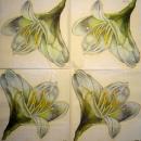 179 Lilies - 3-ply (cream) - Ambiente